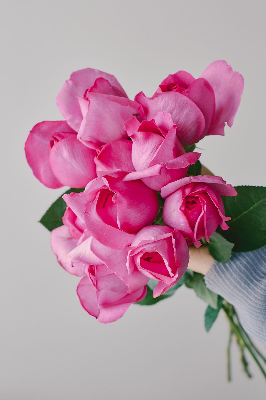 産直】石川バラ園のイブピアッチェ