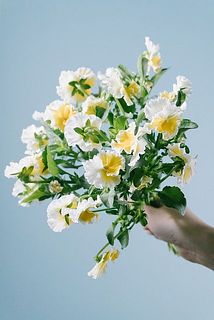 たっぷり束ねるとかわいさ100倍です