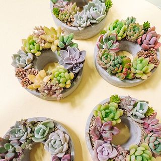 どれが届くかはお楽しみに😍