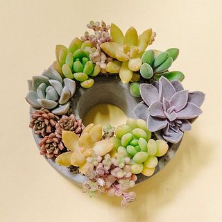 お届け例