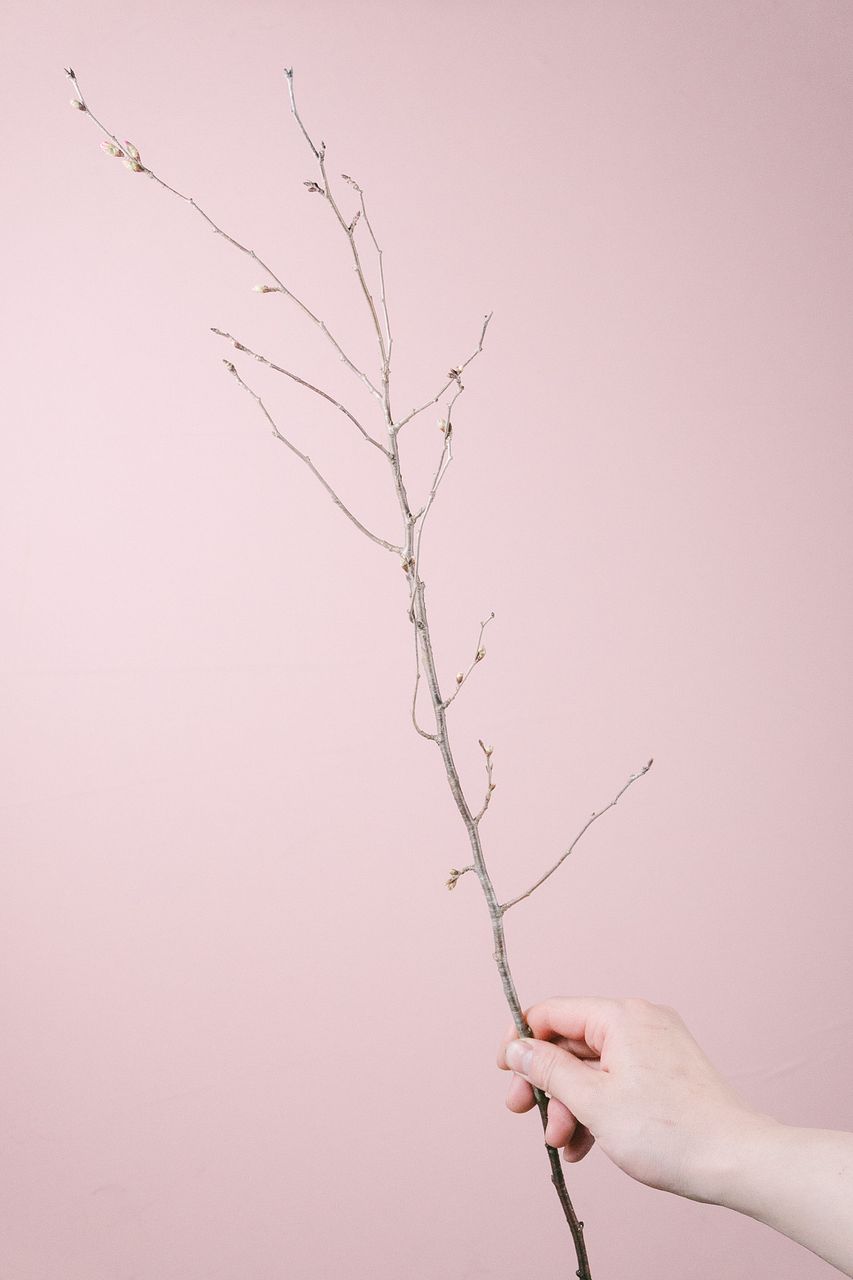 題名は「お花見」です。サイズ94cm×83cm、額は付いています パラオ🫶