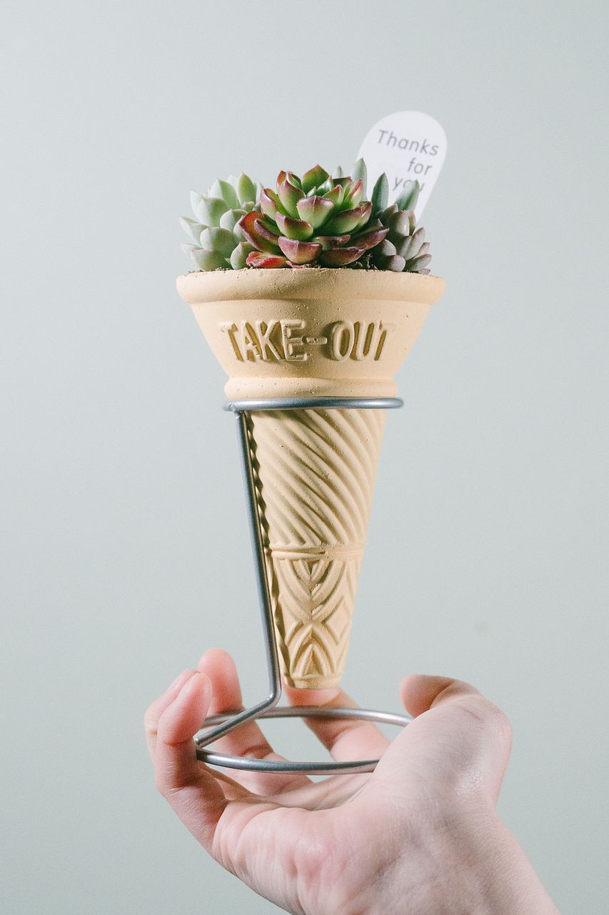 コーンカップの多肉寄せ植え