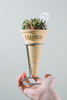 コーンカップの多肉寄せ植え