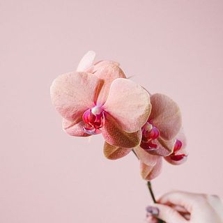 「サーフソング」