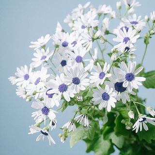 ツートンカラーがおしゃれ。