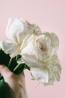 傷が目立つ花びらはご自身で取り除いて飾ってください。