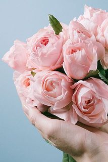 ふっくらフォルムにうっとり😍