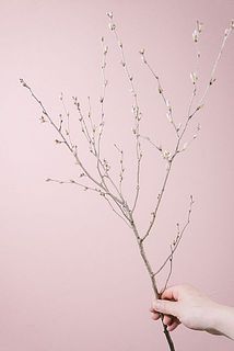 枝ぶりには個体差があります。