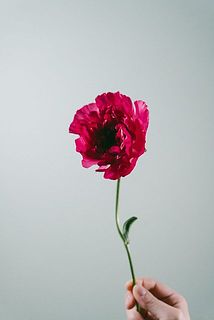 品種はおまかせ。通常より少し小ぶりな可能性もありますが、とってもかわいいです！