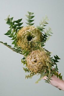 サイズには個体差がございます