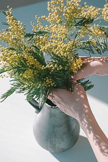 おすすめ花器その1「Calore」。マットなブラックとミモザの組み合わせが新鮮。