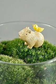 テラリウムキット （カピバラと小鳥）