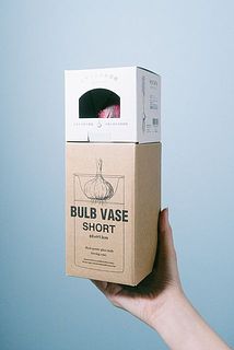 球根とセットでお届け。