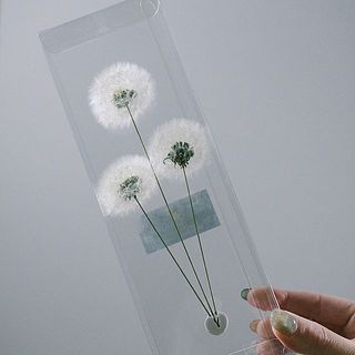 プラスチックのケースに固定した状態でお届けします。