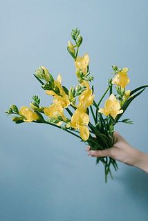 つぼみが多い状態でお届け