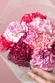 たっぷり10本お届け。