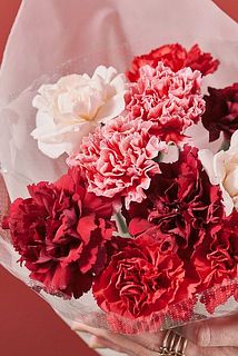赤いカーネーションの花言葉は「母への愛」。