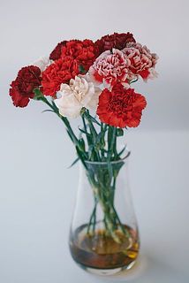 花器に飾るとこんな感じになります。