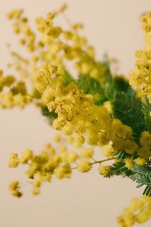 蒸れによって一部茶色になっていることがあります。気になる場合はカットしてください。