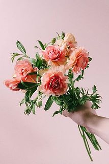 色や咲き方には個体差があります。