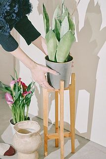 3.5〜4号サイズのポットがちょうど良いです。※ポットのデザインによっては入らないものもあります