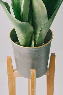 こちらのポットは上部の直径14cm、下部の直径約10.5cm、 高さ14cmの4号サイズです。※ポットは付属しません