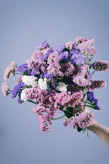 お届けイメージ