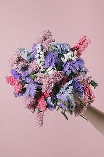 お届けイメージ