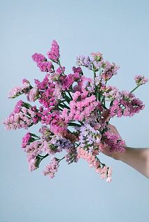 お届けイメージ