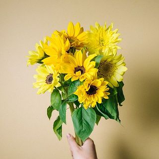 ひまわりの種類はいろいろ。8本お届けします。