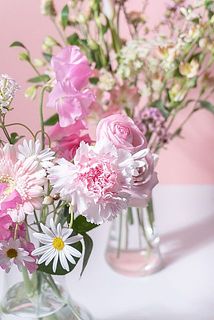 内容は毎回おまかせとなります。おたのしみに！