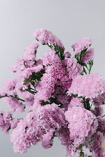 ふんわり淡色がかわいい😍