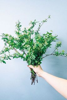 8〜9本お届けします。長さは42cmほど。