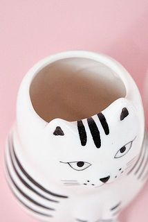 意外にしっかりはいります。