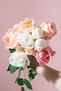 お届け一例（内容は毎回異なります）