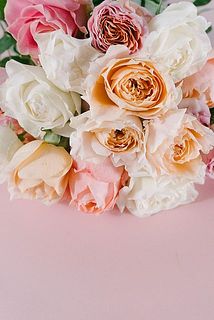 どんな品種が届くかお楽しみに。