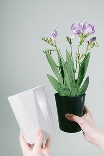 白いプラティック製の鉢は簡単に取り外せます。