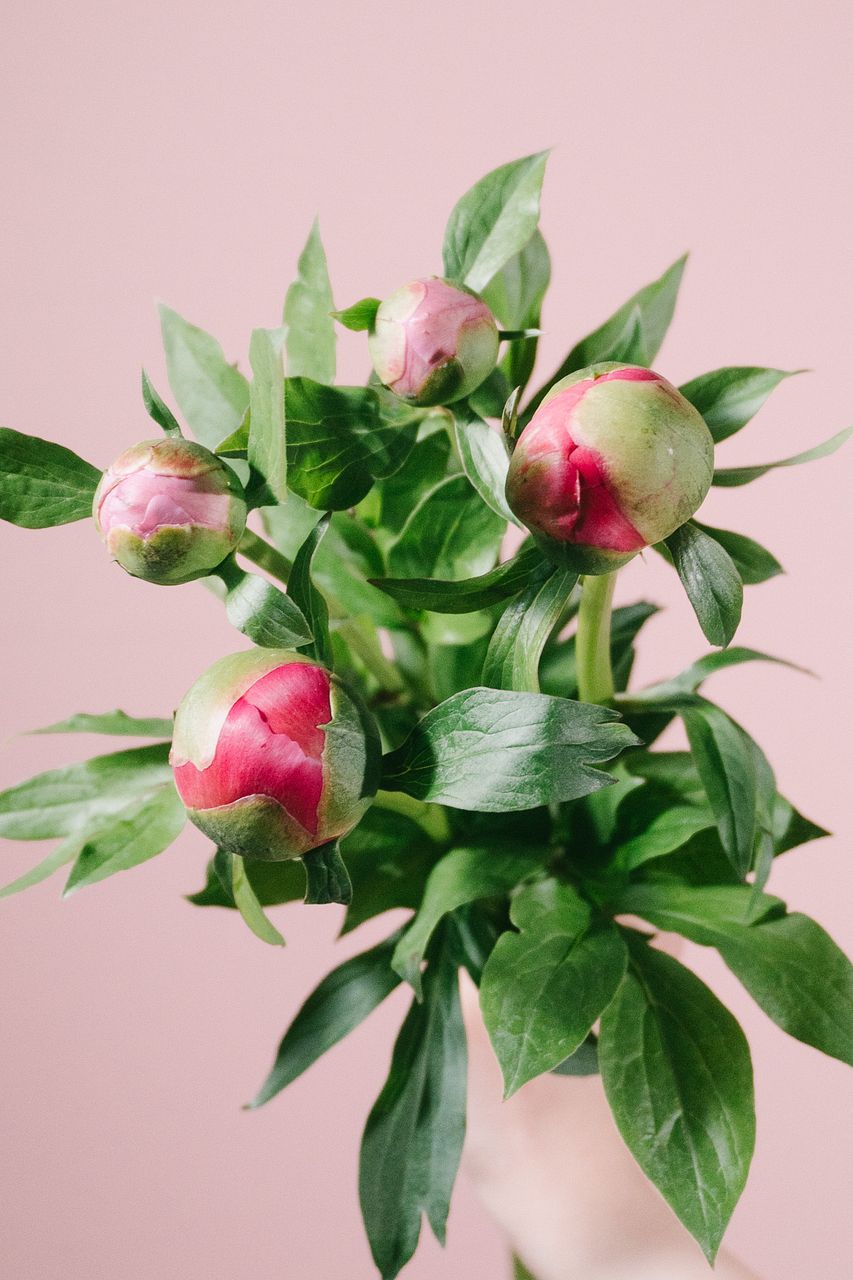 large_fe721105-232b-4da1-85e1-