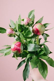 希少　ジグソーパズル　芍薬　しゃくやく　B.MOCK 2014ピース　未開封品 ピンクアソート「芍薬」