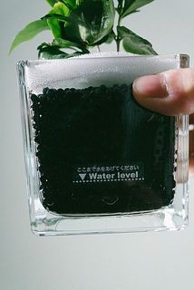 水位の目安付きで育てやすい！