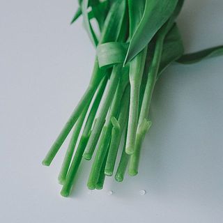 必ず深水に入れて水揚げをしてくださいね。