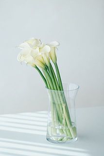 10本セットでお届けします。茎が溶けやすいので浅水で活けて。