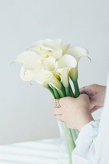 カラーの名前の由来は、古代ギリシャ語で「美」を意味する「カロス」と言われています。花言葉は「乙女のしとやかさ」｢壮大な美」。