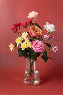 どんなバラが届くかお楽しみに😍