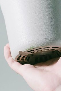 一部、鉢に汚れがある場合がございます。