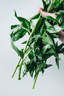 できるだけお得に提供するため、加工コストを抑える目的でブーケの葉っぱはついたまま。お花に水が届くよう、葉っぱは下に引っ張ってとりましょう。