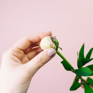 つぼみをほぐすように揉んであげると開花しやすくなります。