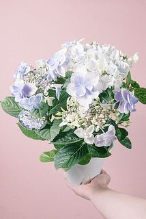 どんな色の紫陽花が届くかはお楽しみ😍
