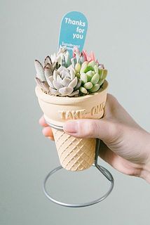 スタンド付きです