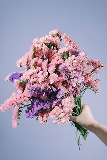 お届けイメージ